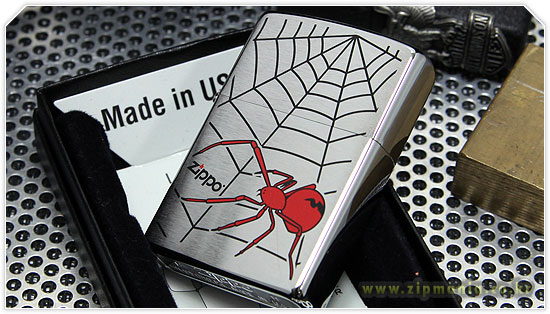 Spider Web 28164